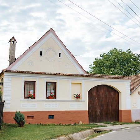Casa Traditionala Transilvaneana Rucar  외부 사진