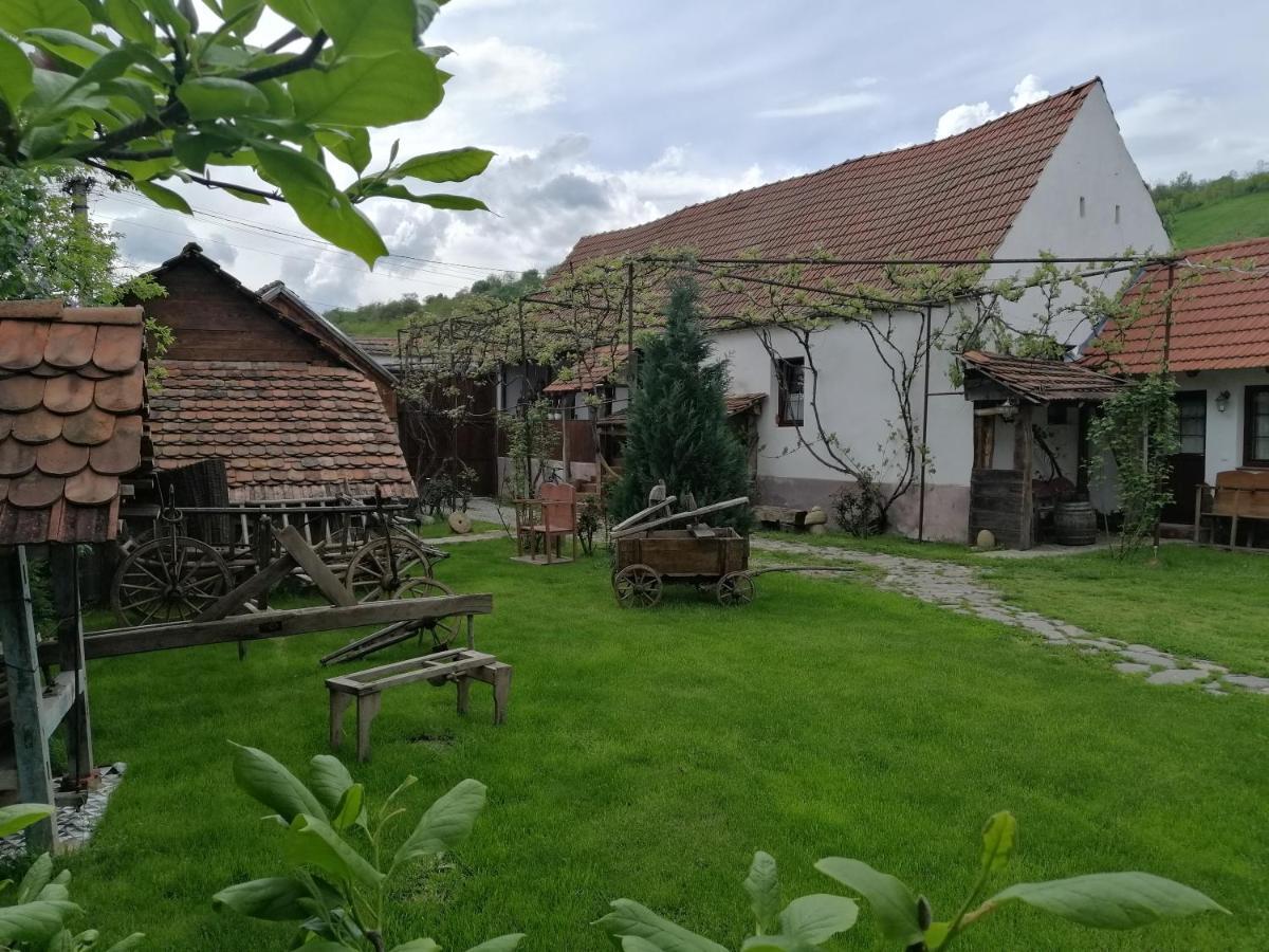 Casa Traditionala Transilvaneana Rucar  외부 사진