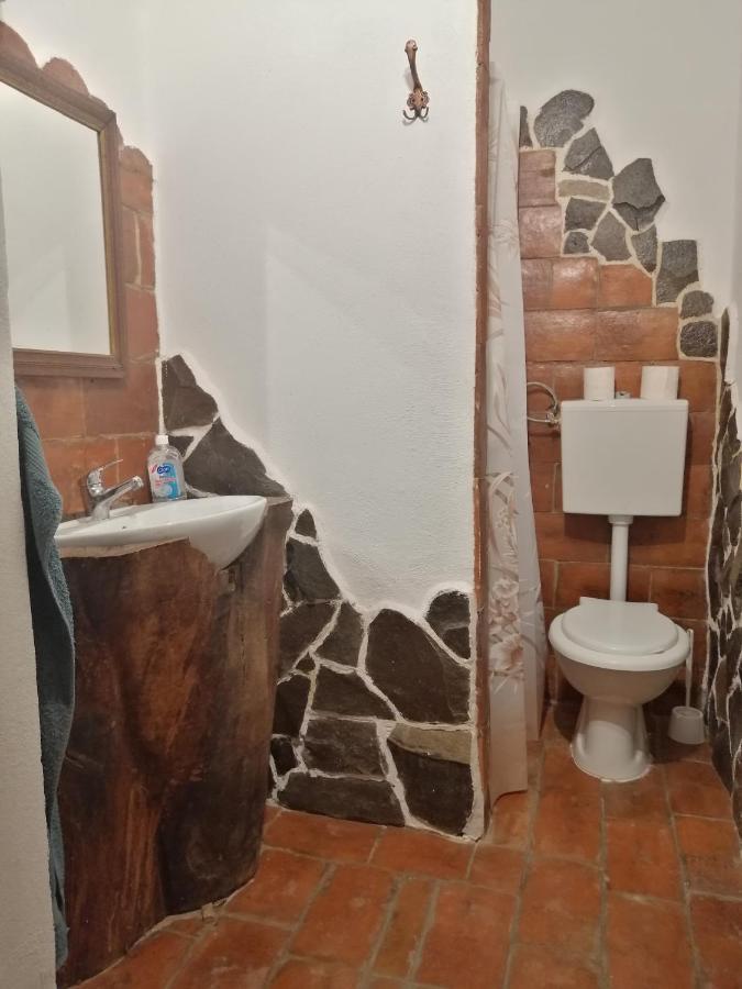 Casa Traditionala Transilvaneana Rucar  외부 사진