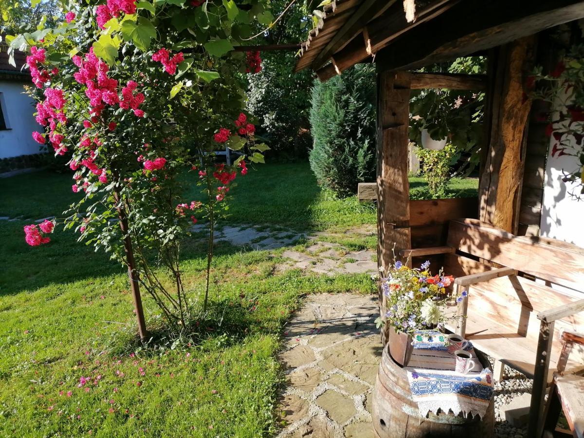 Casa Traditionala Transilvaneana Rucar  외부 사진