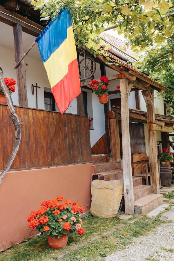 Casa Traditionala Transilvaneana Rucar  외부 사진