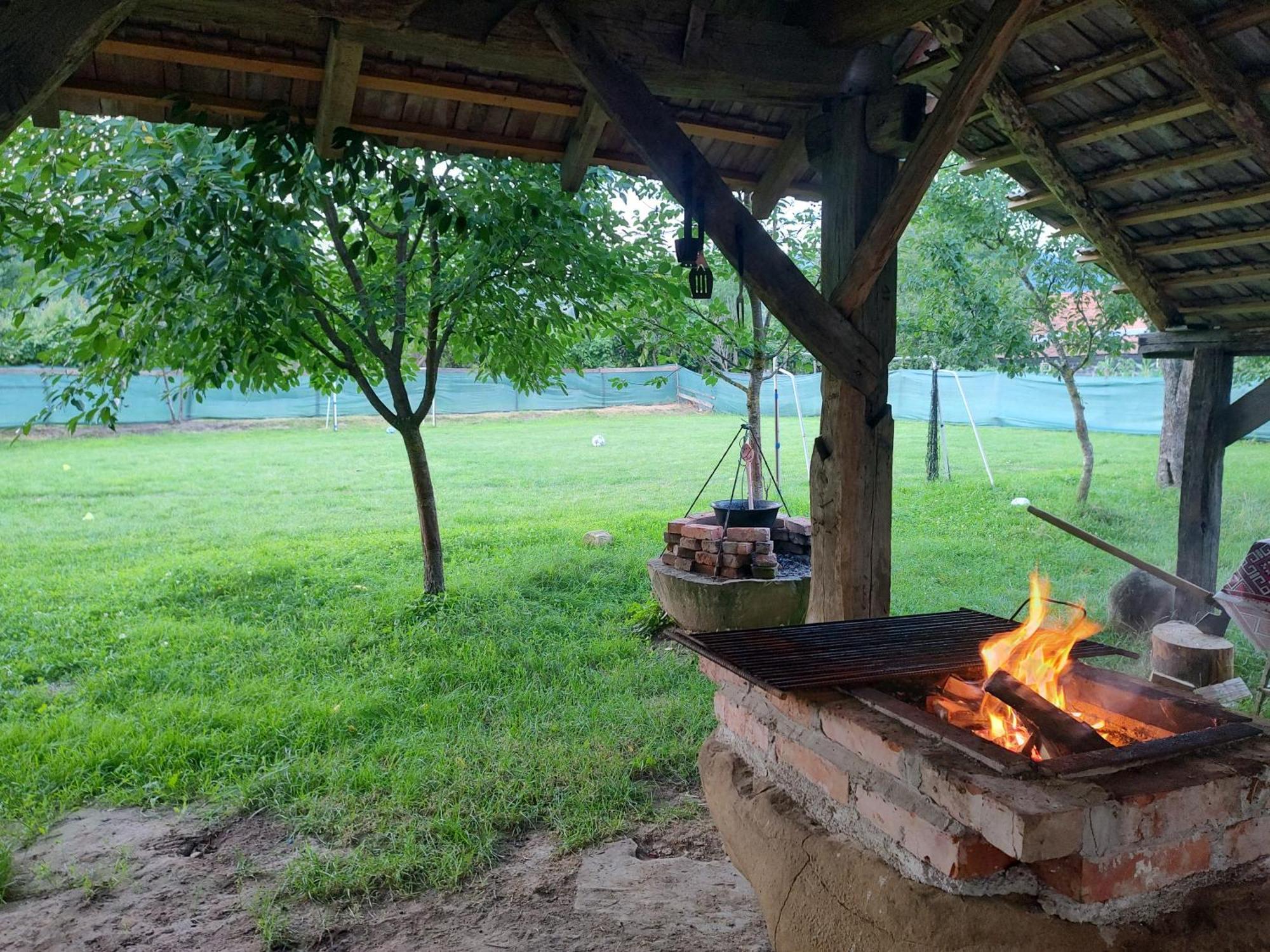 Casa Traditionala Transilvaneana Rucar  외부 사진